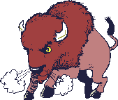 Dibujo animado de bisonte con cuernos resoplando