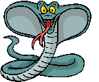 Dibujo animado de serpiente cobra moviendo la cabeza y sacando la lengua